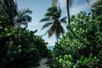 SSET Obra Caribe: arte, ciencia e identidad en diálogo con el Gran Caribe