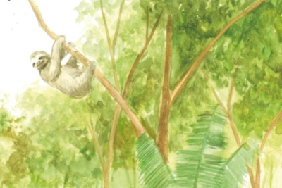 Los libros de la naturaleza