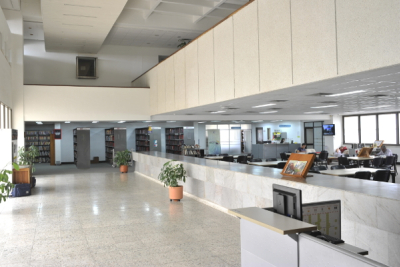 Zona juvenil