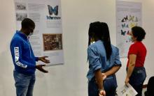 Exposición didáctica Un mundo de mariposas en el Cent