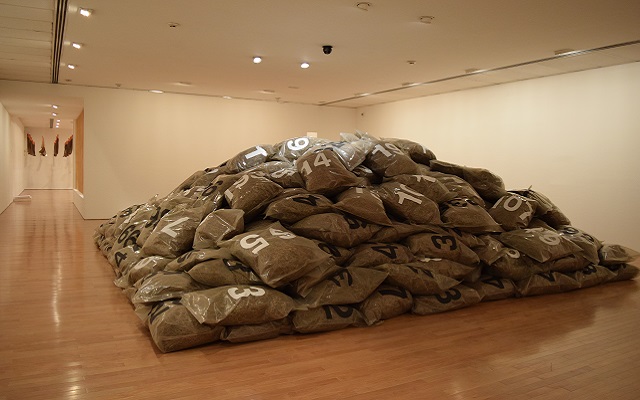 Sala de exposiciones temporales - Museo de Arte Miguel Urrutia- Exposición Temporal - piso 3 - Tierra de por medio.